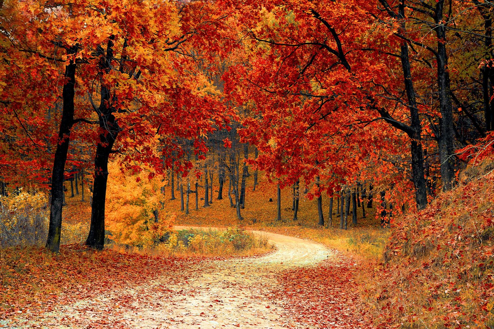 Autumn 2021 update: lighter logs and a polished Web Admin